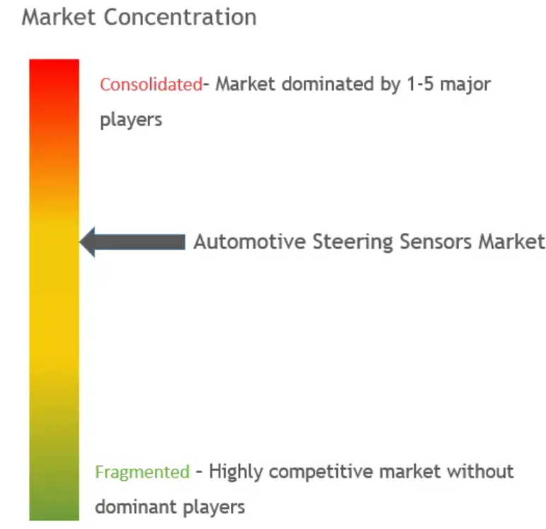 Automotive Steering Sensors Market Concentration
